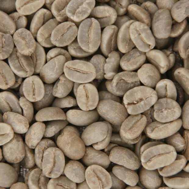 Bugisu Arabica Single AA Green Bean (5lbs)